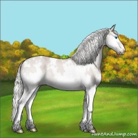 Horse Color:White Spotted Liver Red Dun Mushroom Splash 