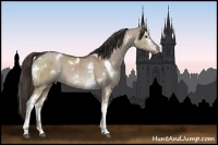 Horse Color:White Spotted Liver Red Dun Brindle 