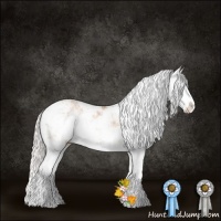 Horse Color:Silver Bay Pearl Sabino Splash Rabicano 