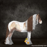 Horse Color:White Spotted Liver Red Onyx Pearl Tobiano