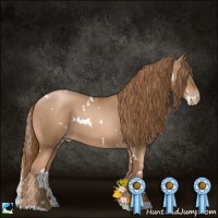 Horse Color:White Spotted Liver Chestnut Pearl 