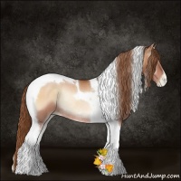 Horse Color:Bay Pearl Onyx Tobiano Rabicano