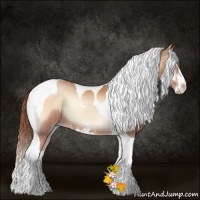 Horse Color:Bay Pearl Onyx Sabino Tobiano 