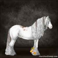 Horse Color:Black Pearl Sabino 