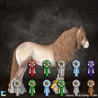 Horse Color:Liver Red Onyx Pearl Rabicano
