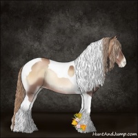 Horse Color:Liver Red Onyx Pearl Tobiano Rabicano 