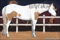 Horse Color:Chestnut Splash Tobiano Appaloosa  and Chestnut Splash Tobiano Appaloosa 