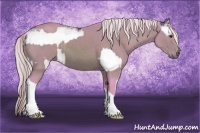 Horse Color:Watercolor White Spotted Chestnut Ice Frame Rabicano  and Watercolor Silver Brown Sabino Tobiano Rabicano 