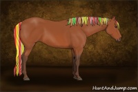 Horse Color:Painted Silver Bay Rabicano 