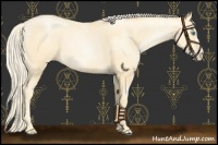 Horse Color:Palomino Roan Pearl  and Palomino Roan Pearl 