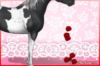 Horse Color:Black Tobiano 