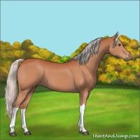 Horse Color:Silver Bay Tobiano 