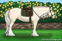 Horse Color:Palomino Roan Pearl  and Palomino Roan Pearl Rabicano 