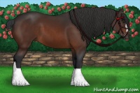 Horse Color:Brown 