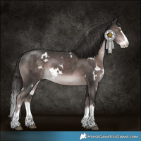 Horse Color:Platinum White Spotted Liver Chestnut Splash 