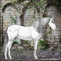 Horse Color:White Spotted Bay 