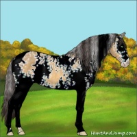 Horse Color:White Spotted Sable Cream Champagne 