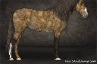 Horse Color:Buckskin Ice 