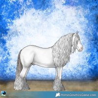 Horse Color:Black Ice Sabino Appaloosa
