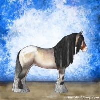 Horse Color:Brown Roan Onyx Snowcap Rabicano 