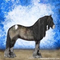 Horse Color:Blue Onyx Ice Appaloosa 