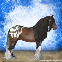 Horse Color:Brown Mushroom Tobiano Blanket 