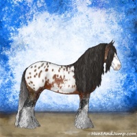 Horse Color:Brown Mushroom Sabino Appaloosa 