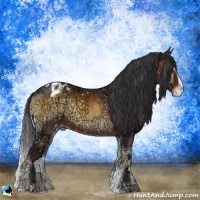 Horse Color:Buckskin Ice Onyx Sabino Snowflake Varnish 
