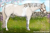 Horse Color:Smoky Creme Roan Tobiano 