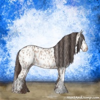 Horse Color:Amber Champagne Appaloosa and Amber Champagne Appaloosa
