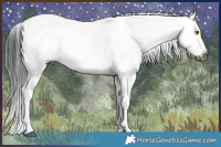 Horse Color:Gray Platinum Buckskin Dun Sabino Near Leopard 
