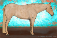 Horse Color:Red Roan 