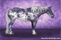 Horse Color:Watercolor White Spotted Silver Grullo Ice Frame 