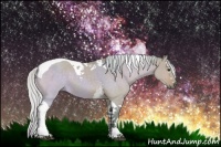 Horse Color:Watercolor White Spotted Silver Buckskin Dun Tobiano 