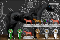 Horse Color:Void Black Splash Frame