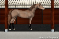 Horse Color:Void Chestnut 