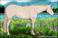 Horse Color:Perlino Sabino 