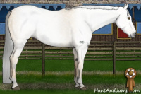 Horse Color:Gray Buckskin Dun 