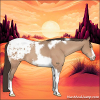Horse Color:Sable Champagne Tobiano Frame Appaloosa 