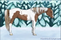 Horse Color:Chestnut Tobiano