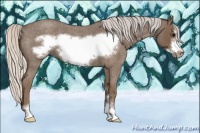 Horse Color:Silver Blue Roan Sabino Frame