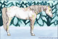 Horse Color:Silver Smoky Black Ice Sabino Frame Appaloosa 