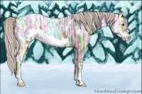 Horse Color:Silver Black Ice Frame Appaloosa