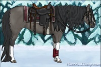Horse Color:Grullo 