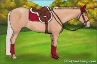 Horse Color:Silver Amber Champagne Frame 