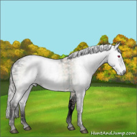 Horse Color:Gray Void Plaid  Chocolate Silver Brown Chinchilla Ice Tobiano 