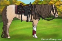 Horse Color:Amber Champagne 