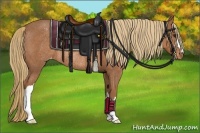 Horse Color:Chestnut Appaloosa Rabicano 