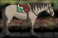 Horse Color:Smoky Grullo Splash 