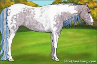 Horse Color:Painted Silver Black Ice Tobiano 